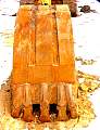 20070211PICT0119.JPG