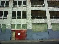greenandbrown2.jpg